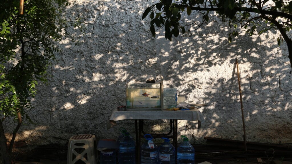 Parte il Tirana Art Weekend 2025: l’arte albanese si vuole affermare con convinzione. Il programma 