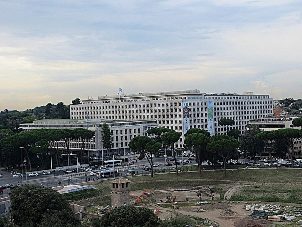 Lavorare nell’arte: opportunità da C40, MAUTO e Centro Restauro Reggia di Venaria, FAO