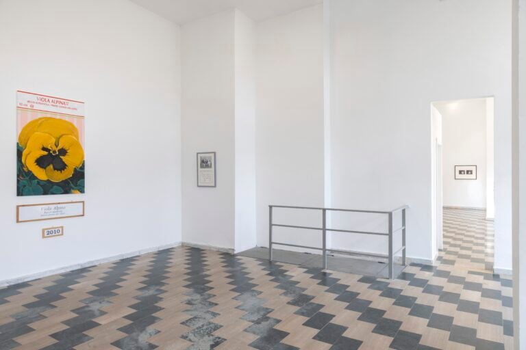 A Milano c’è una mostra che racconta lo spirito e il mistero delle Fiandre dal punto di vista dell’arte contemporanea