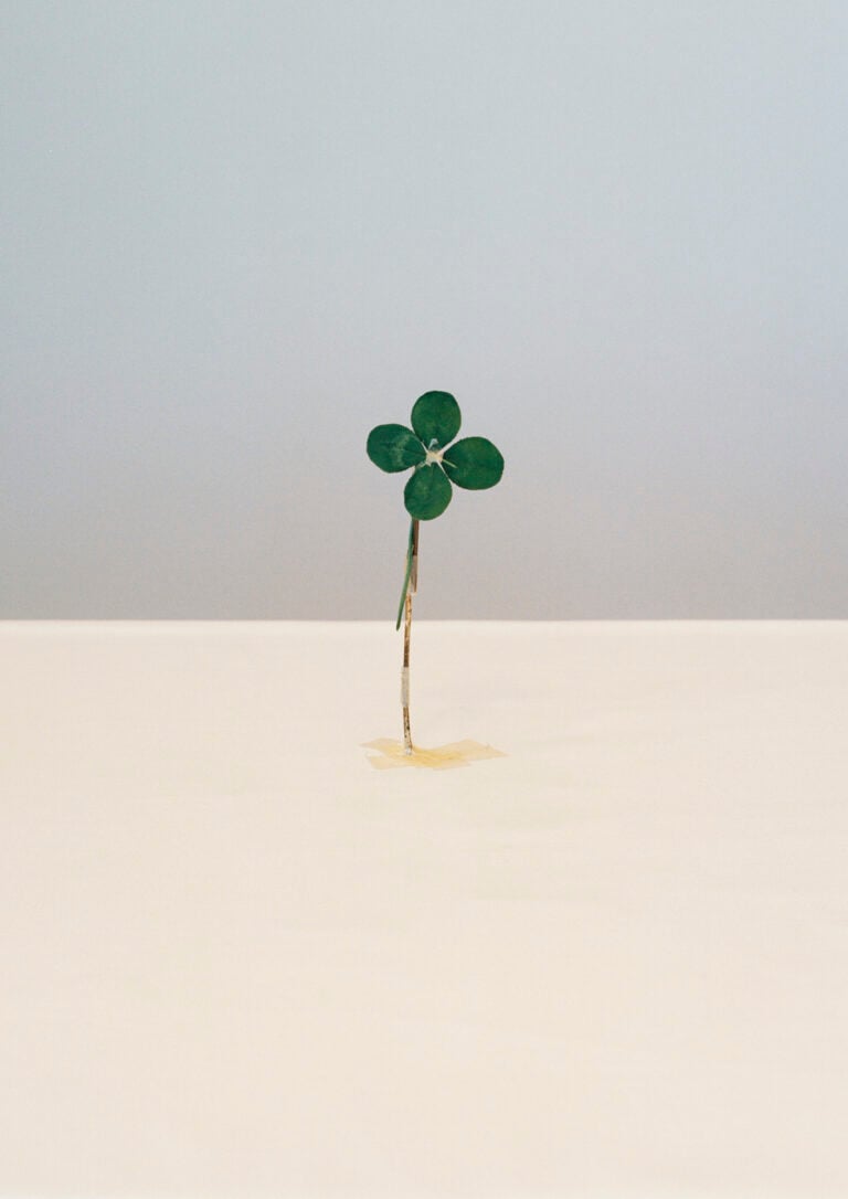 Carlo Benvenuto, Senza titolo (2010)