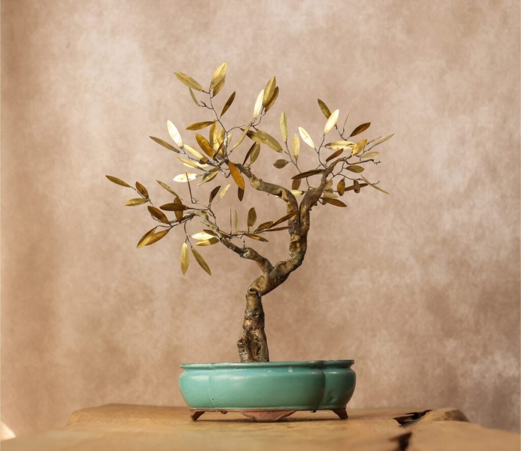 Guida ai festival culturali in Italia di fine novembre 2025: Mind Marea, Musica in Prossimità, Reggio e Torino Film Festival