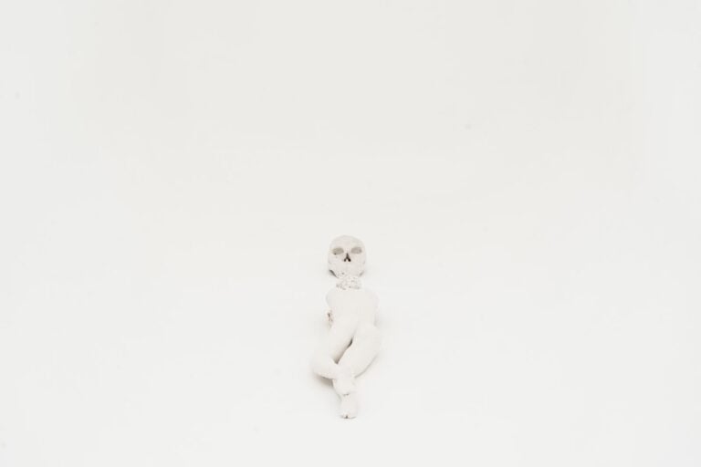 La morte e la fanciulla, exhibition view