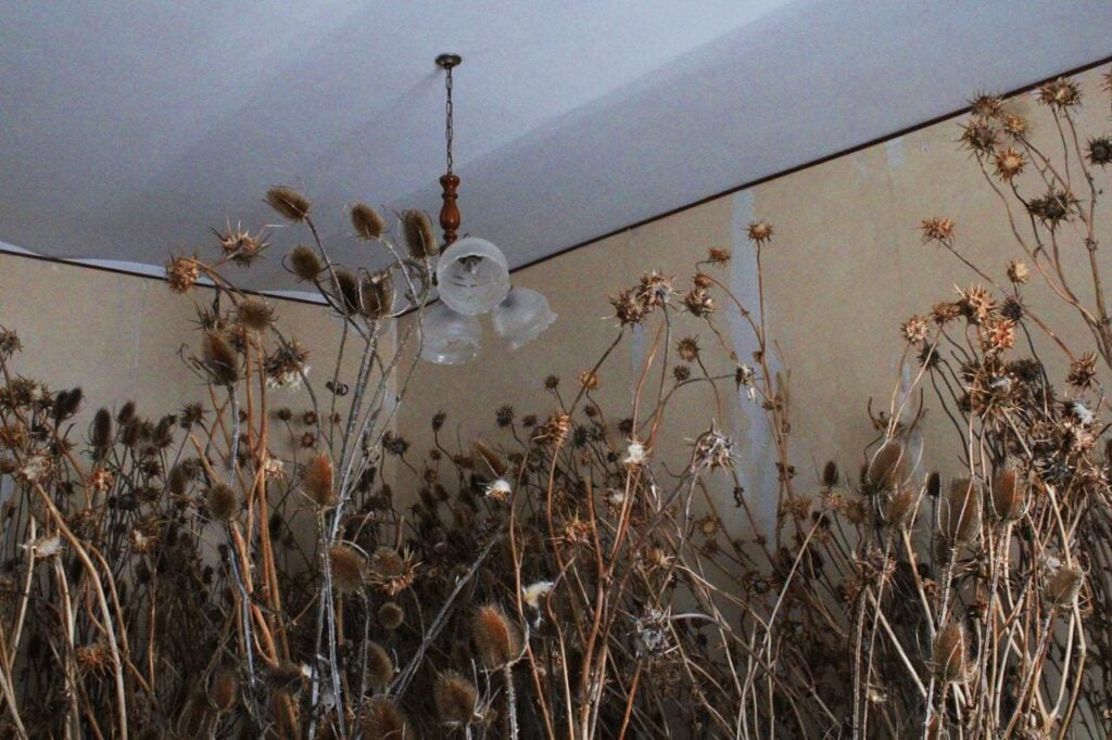 Maria Elena e Alicya Ricciuto – Abitare il giardino