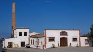 Musei d’impresa in Calabria e in Sicilia. La mappa dei più interessanti