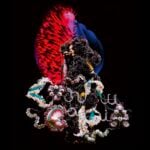 A Milano c'è l’anteprima nazionale del visionario film-concerto di Björk