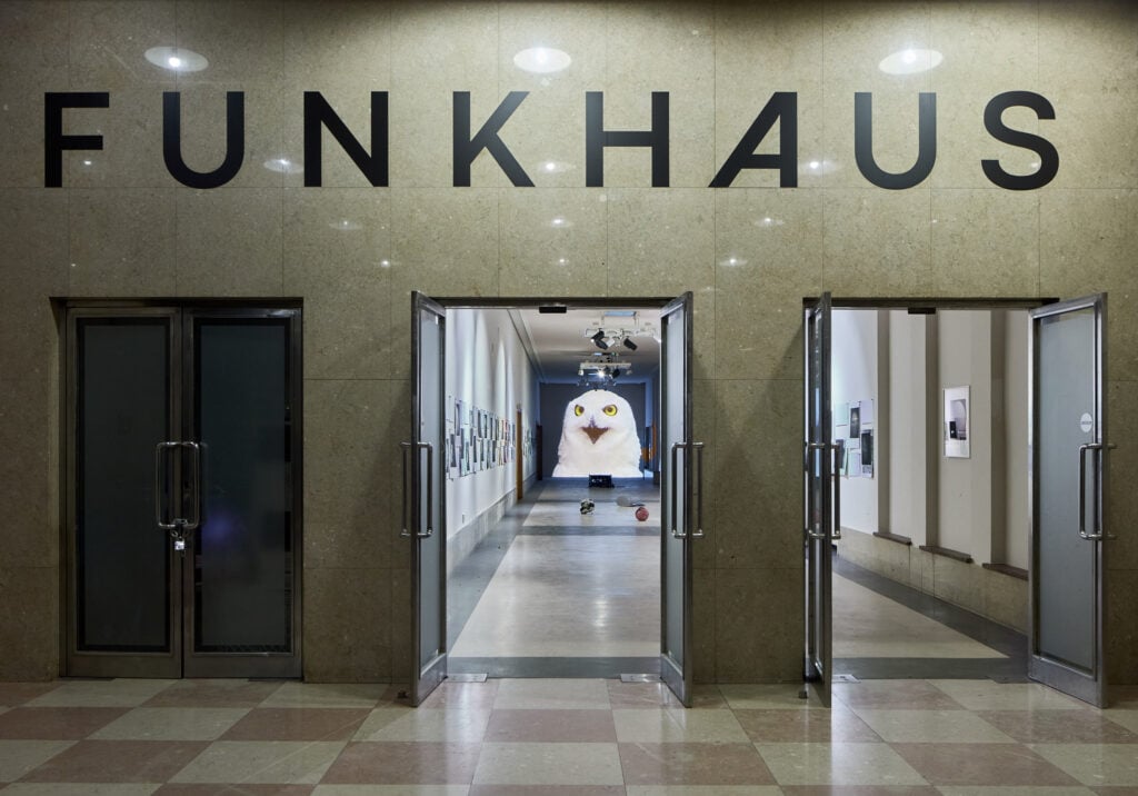 A Vienna l’edizione 2025 dell’Art Week è tutta dedicata all’apprendimento