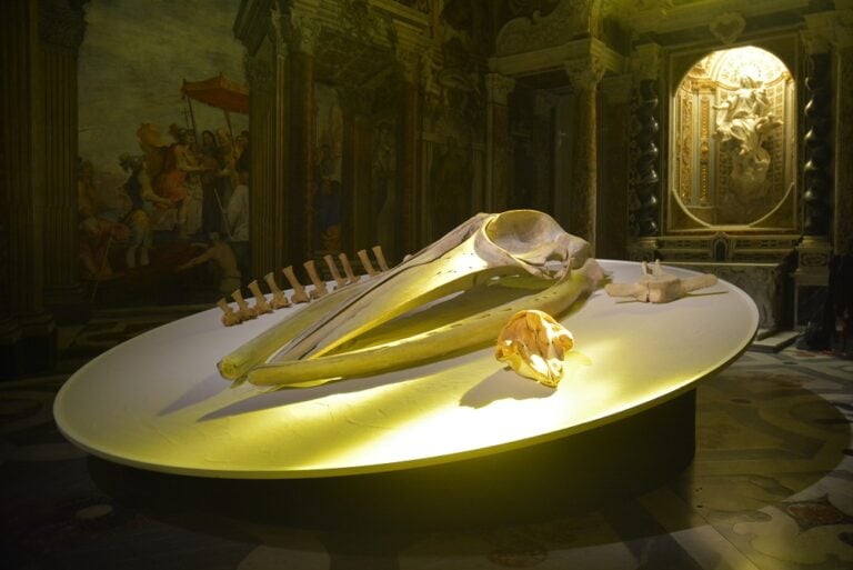 Cappella del Doge, Reperti di balenottere. Photo Linda Kaiser