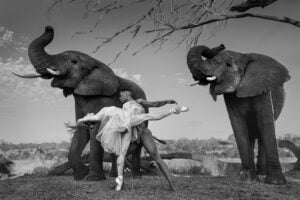 Uomo, natura e animali si incontrano nelle fotografie di Ruggero Rosfer. La mostra è a Milano 