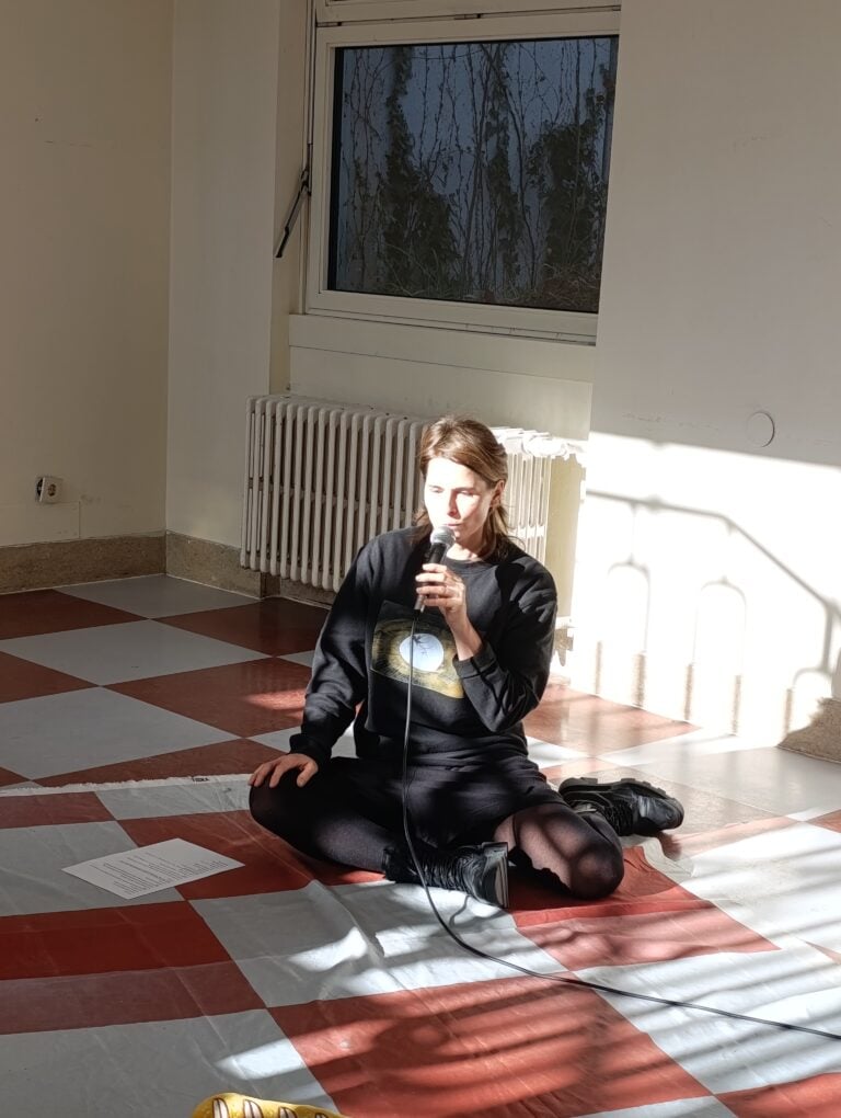 Elisabeth Molin, performance Causa Ignota