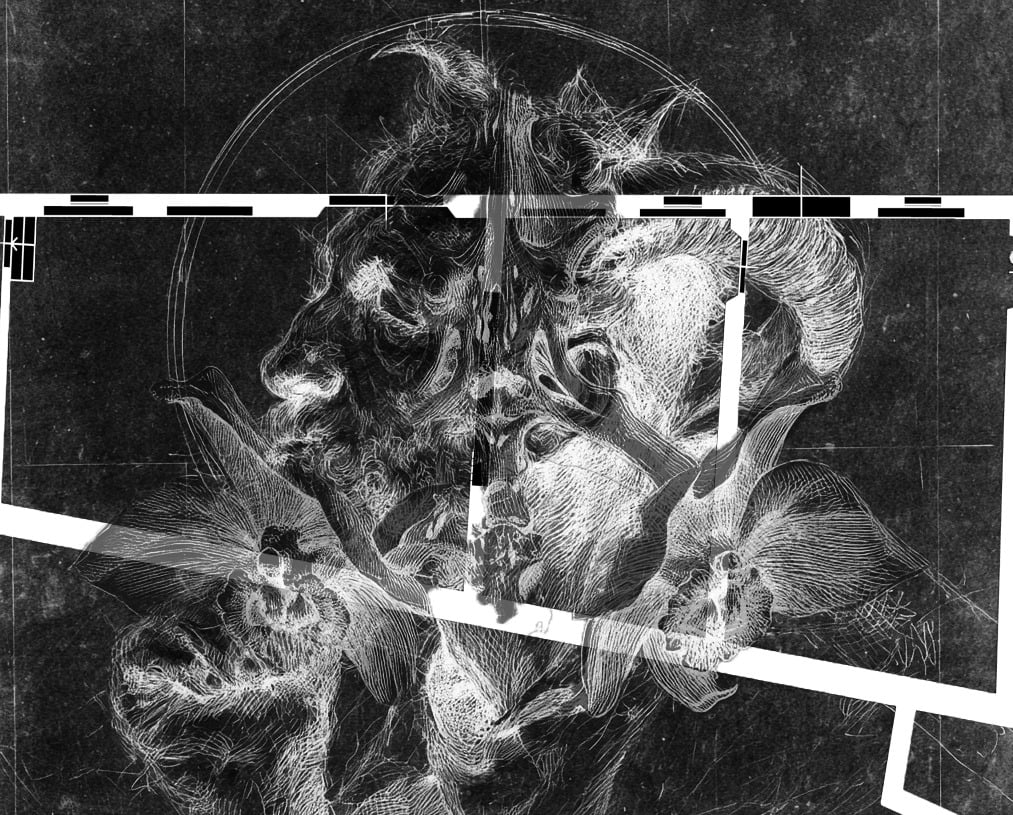 Fabrizio Ajello – Niente di grave