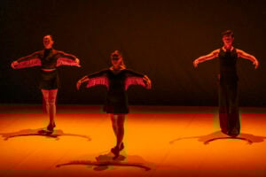 A Ravenna la Vetrina della Giovane Danza d’Autore. Per illuminare ballerini e coreografi italiani 