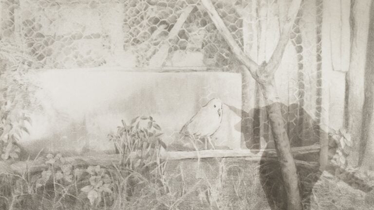 Ho Yen Yen, Private Journey (video still), 2025. Courtesy of the artist, Commissioned by Taipei Biennial 2025