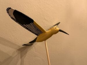 Fabrizio Guidi - Volo di Uccelli