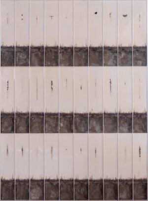 Enzo Fiore - Entomos. La natura ritrovata