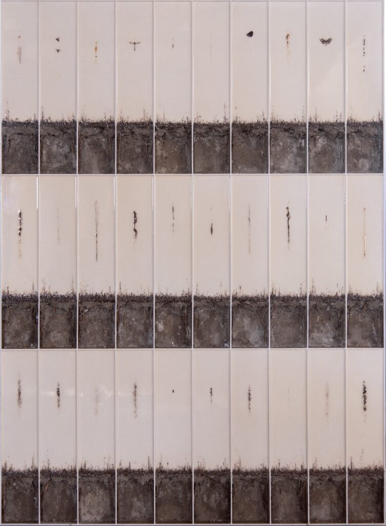 Enzo Fiore – Entomos. La natura ritrovata