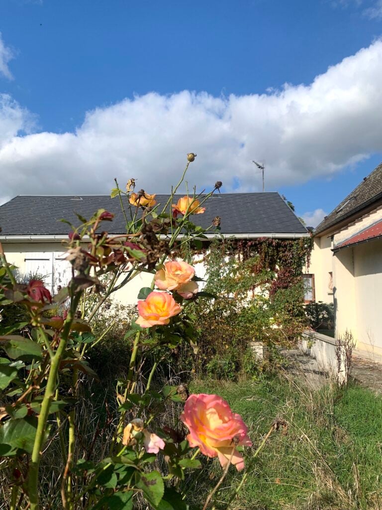 Jardins de la Paix. Photo Claudia Zanfi