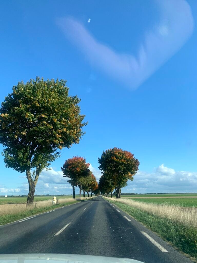 Jardins de la Paix. Photo Claudia Zanfi