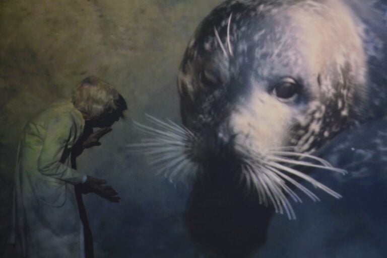 Joan Jonas, Moving Off the Land, 2016-17. Photo Linda Kaiser