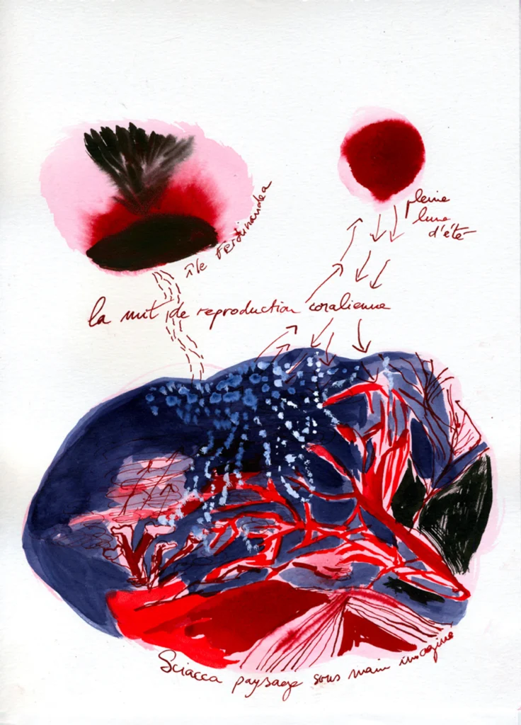 Guida alle mostre di Agrigento Capitale della Cultura che volge al termine