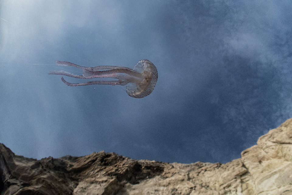 ABBA. Le forme del fluire