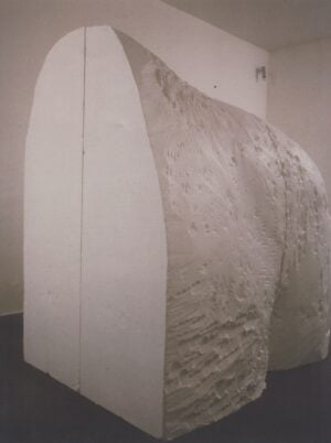 Michelangelo Pistoletto - Sculture e Disegni (1982–1986)
