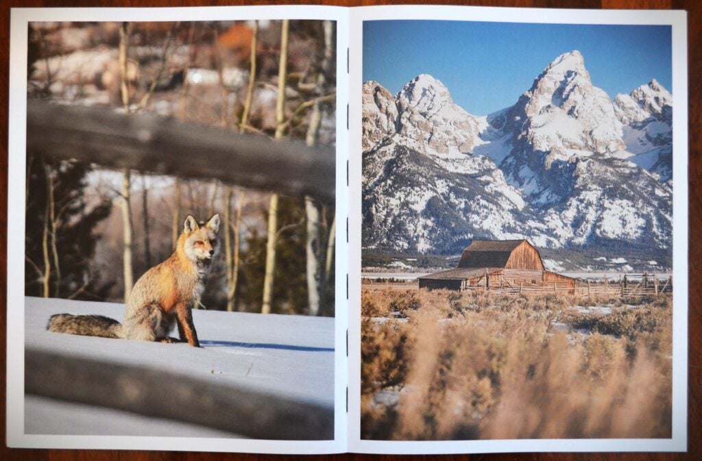 MNTN Journal - pagine interne