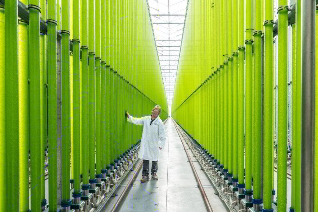 Simone Tramonte – Net-Zero Transition