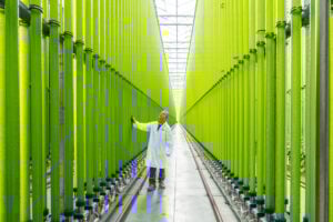 Simone Tramonte - Net-Zero Transition