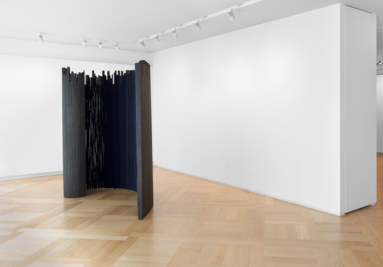 Nunzio, Avvoltoio,2019, Pigment and combustion on wood, 238 x 252 x 130 cm_install shot_Credits Todd White Studio. Courtesy Mazzoleni