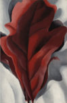 Georgia O'Keeffe, Large Dark Red Leaves on White, 1927. Courtesy Sotheby's
