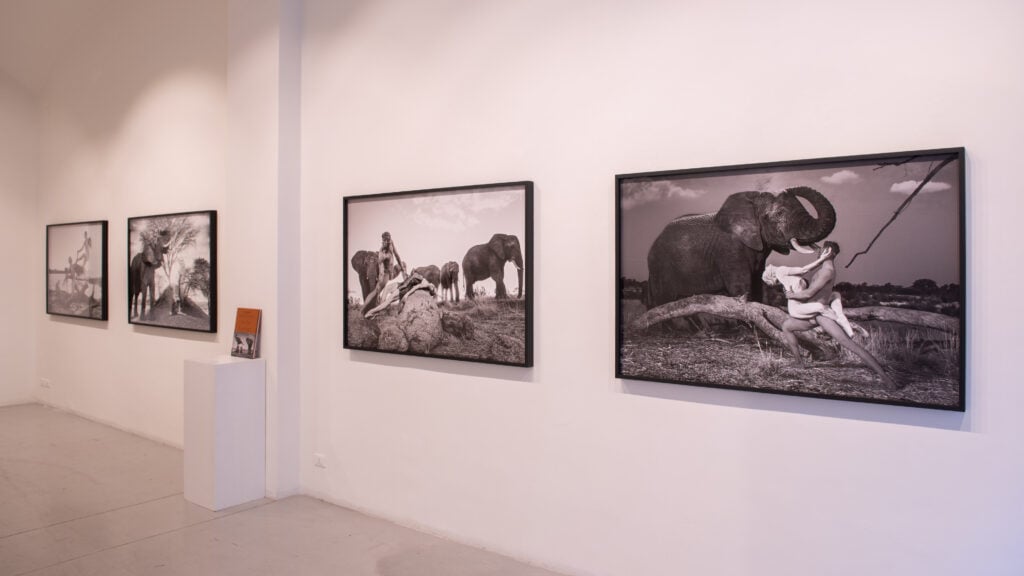 Ruggero Rosfer, Dancing with nature, 2025, Fabbrica Eos, Milano