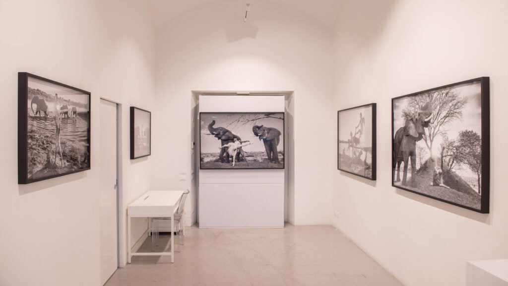 Ruggero Rosfer, Dancing with nature, 2025, Fabbrica Eos, Milano