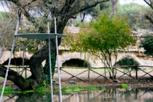 A Roma un progetto d’arte diffuso nei quartieri meno turistici della periferia