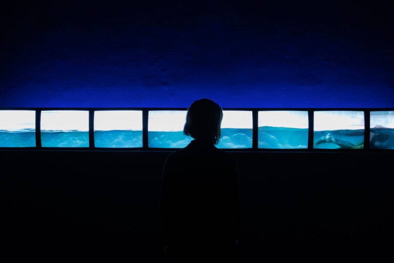 Sport. Le sfide del corpo. Veduta della mostra. Ph: Mart, Jacopo Salvi, 2025