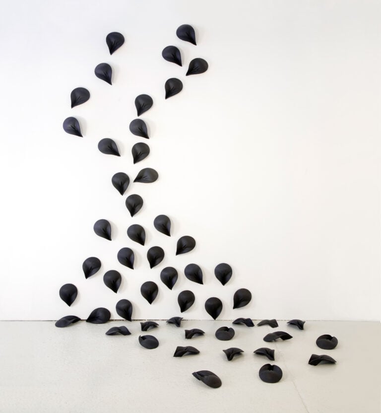 Sum of the Whole, 2005