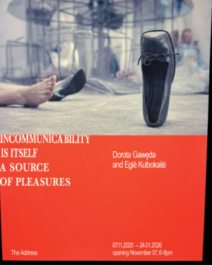 Dorota Gawęda e Eglė Kulbokaitė - Incommunicability is itself a source of pleasures
