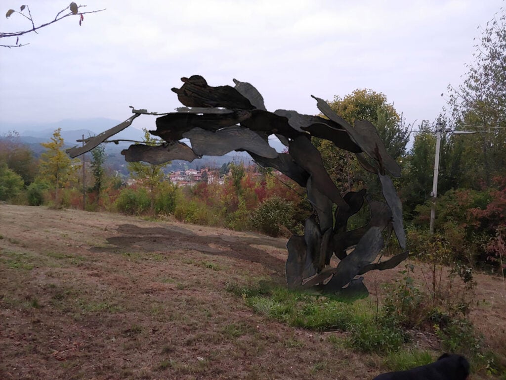 Landandart – Carlo D’Oria