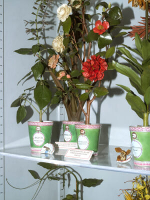 Armin Linke - The City as Archive. Florence