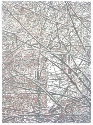 Luca Pancrazzi - Urbs ex arboribus