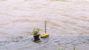 Vashish Soobah - Chez moi