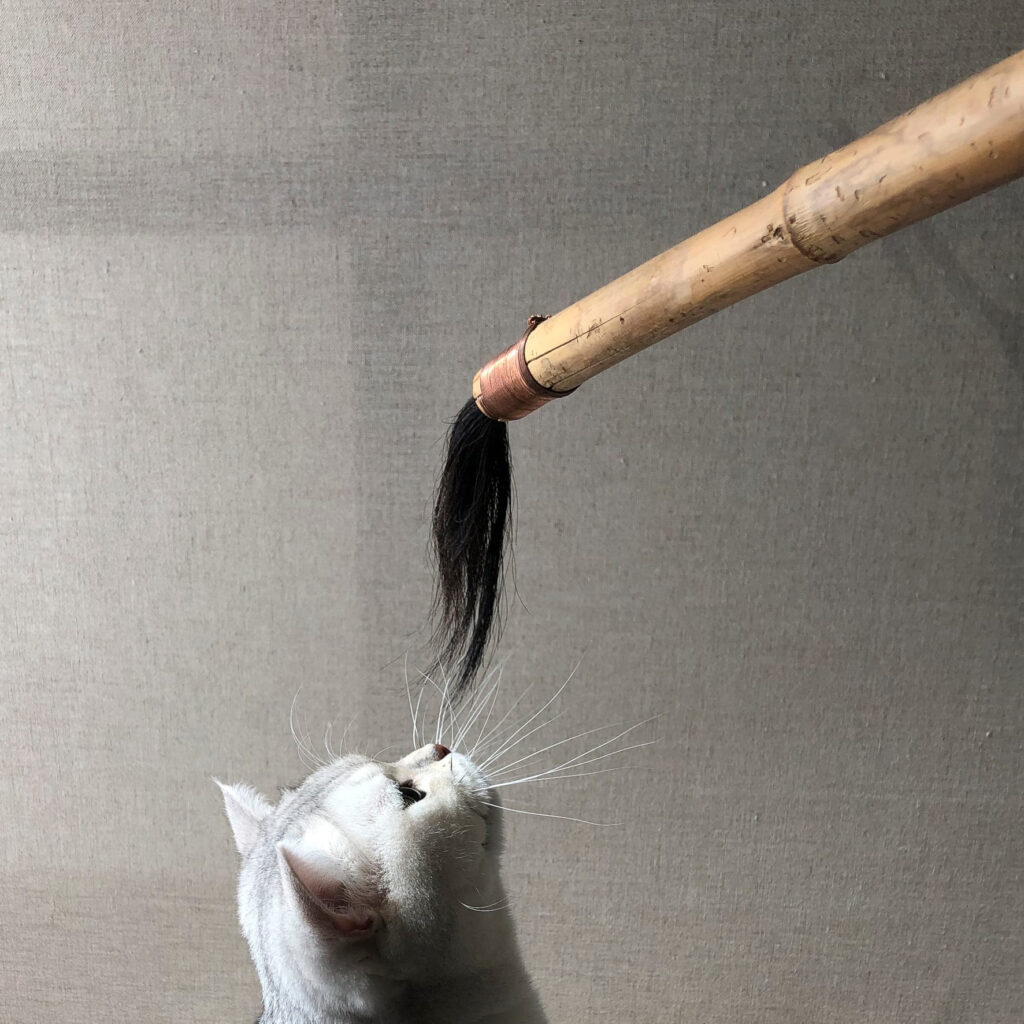 Joana Escoval – Ambientale