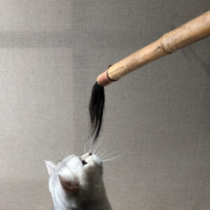 Joana Escoval - Ambientale