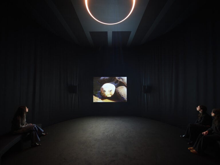 Nan Goldin You Never Did Anything Wrong, 2024 Veduta dell’installazione, Pirelli HangarBicocca, Milano, 2025, © Nan Goldin, Courtesy l’artista, Gagosian, e Pirelli HangarBicocca, Milano, Foto Agostino Osio