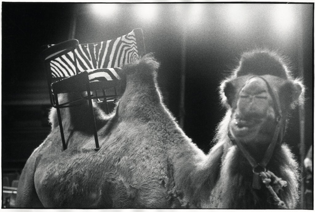 Design e fotografia contemporanea: i mobili di Alias in giro per Bergamo negli scatti di Luca A. Caizzi