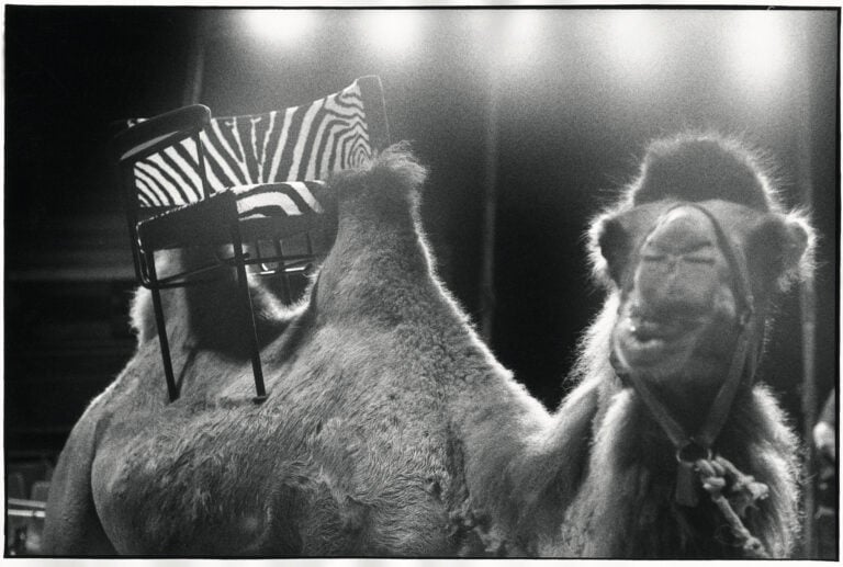 Design e fotografia contemporanea: i mobili di Alias in giro per Bergamo negli scatti di Luca A. Caizzi