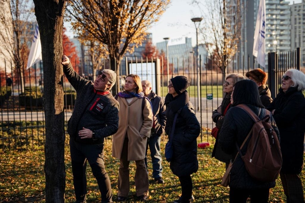 Guida ai festival culturali in Italia di dicembre 2025: Cèramica, BIG, Quant’ARTE, Open Sound