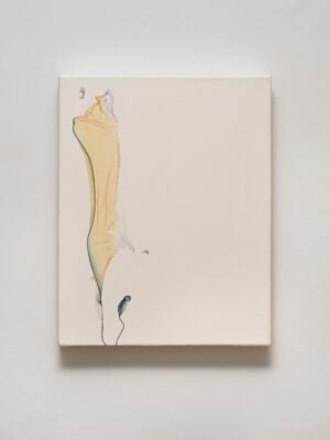 Beatrice Pediconi / Ennio Tamburi - Velo d’acqua