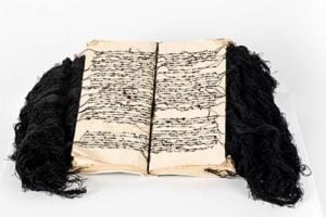 Albrecht Dürer / Maria Lai - Il respiro di un viaggio