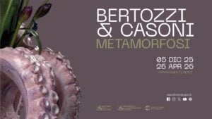 Bertozzi&Casoni - Metamorfosi