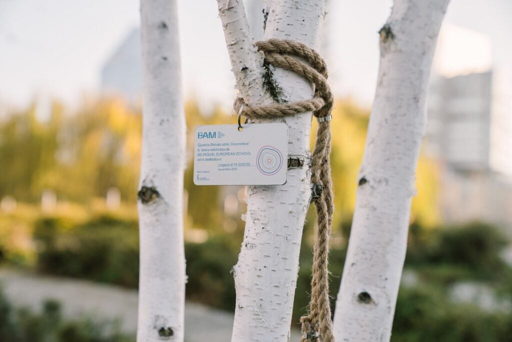 La guida alle idee regalo artistiche ed esperienze culturali per il Natale 2025